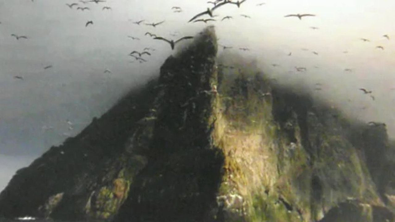 ANA ARIAS SAAVEDRA- DÍA MUNDIAL DAS AVES MIGRATORIAS-VOOS AMOROSOS-POEMA DA AUTORA -COLABORANDO CON MURALLA VIVA-LUGO