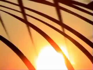 Paul Kalkbrenner - QSA - YouTube