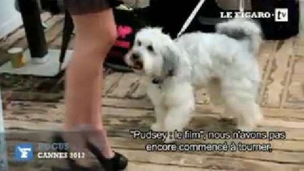 Cannes : Pudsey, le chien star de la Croisette