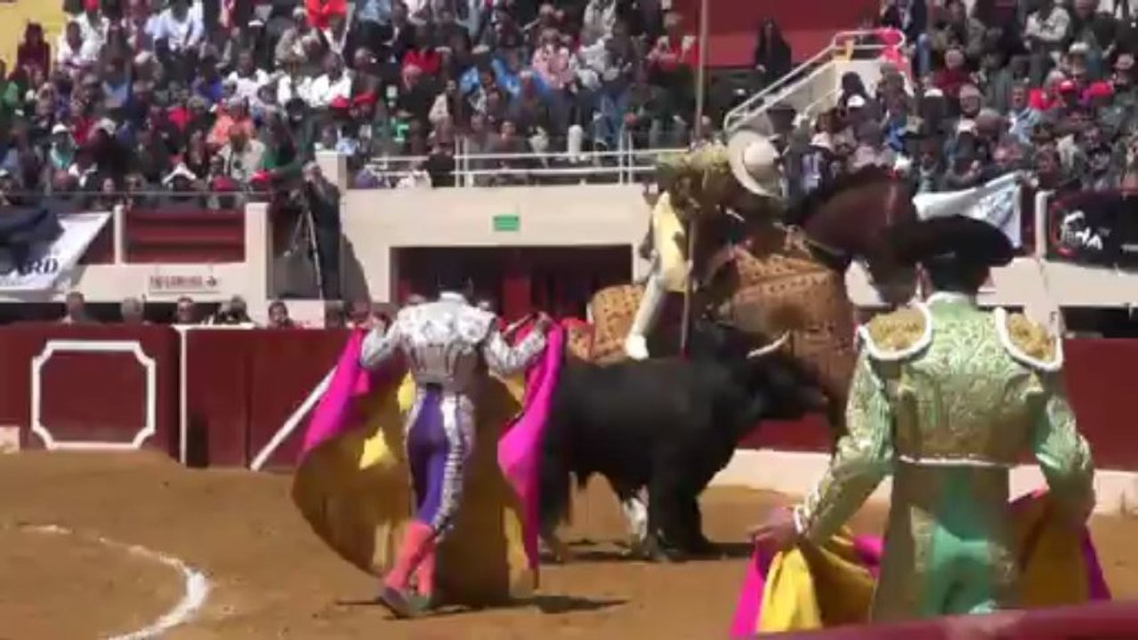 Corrida Vic : Manuel escribano