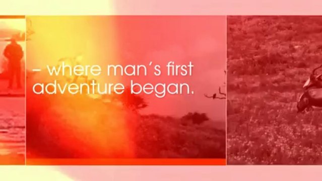 african safari tours