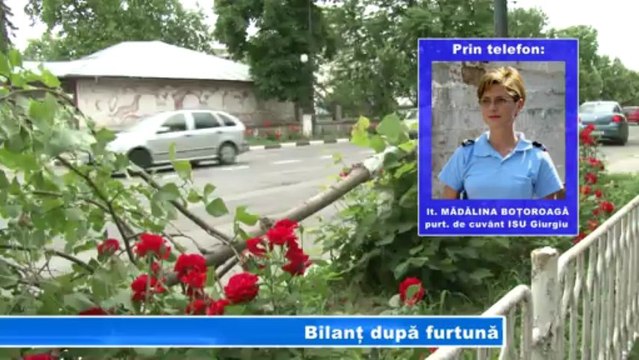 Bilant dupa furtuna