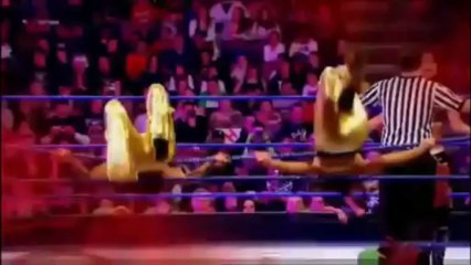 Bella Twins - You Can Look by Jim Johnston Ft Kim Sozzi (Remix)