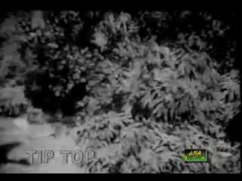 TERE JAHEY PUT JAMMAN MANWAN ( NOOR JEHAN ) By Aslam Nasir