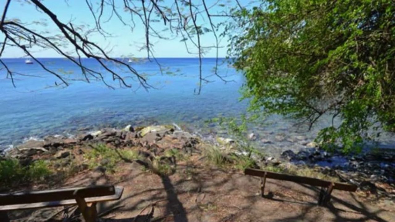 Le Zamana F4 Fort de France