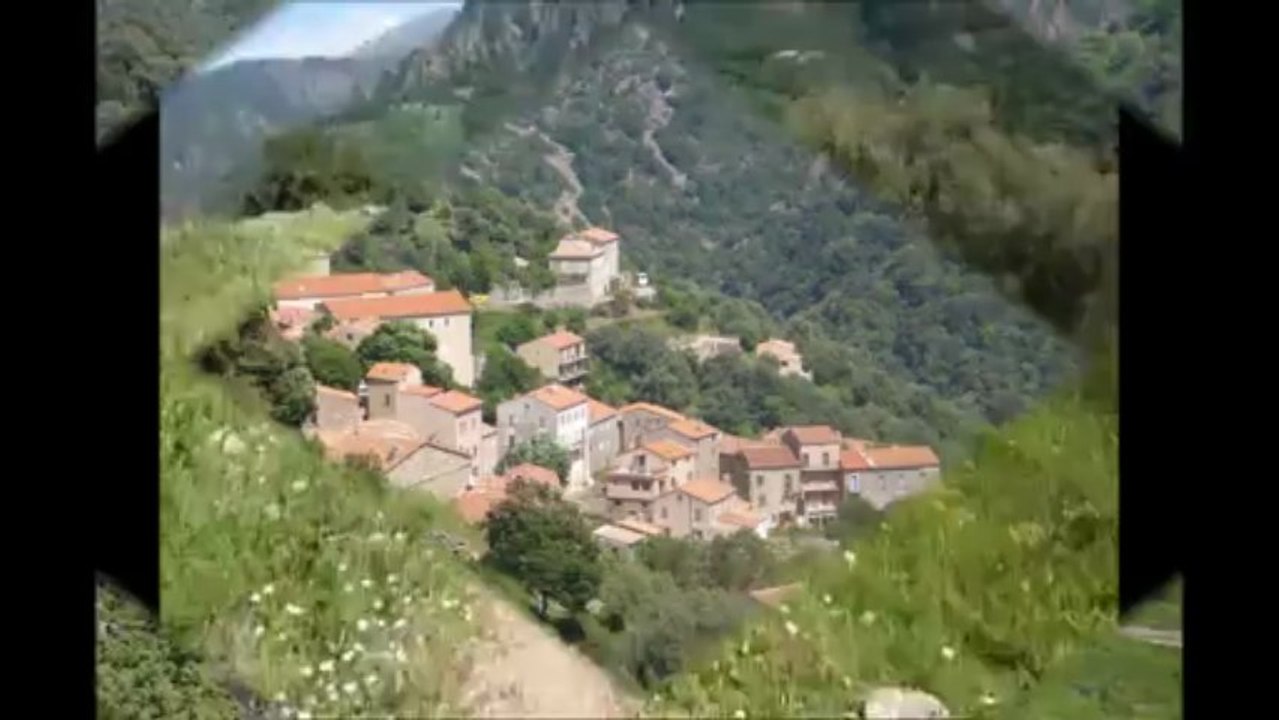 Mareemonti