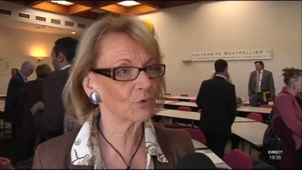 Institut Confucius dédié à la langue Chinoise (Montpellier)