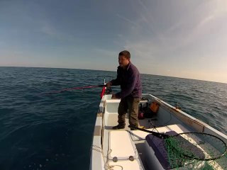 grouper jigging