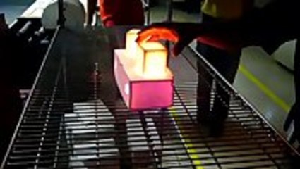 Space Shuttle Thermal Tile Demonstration