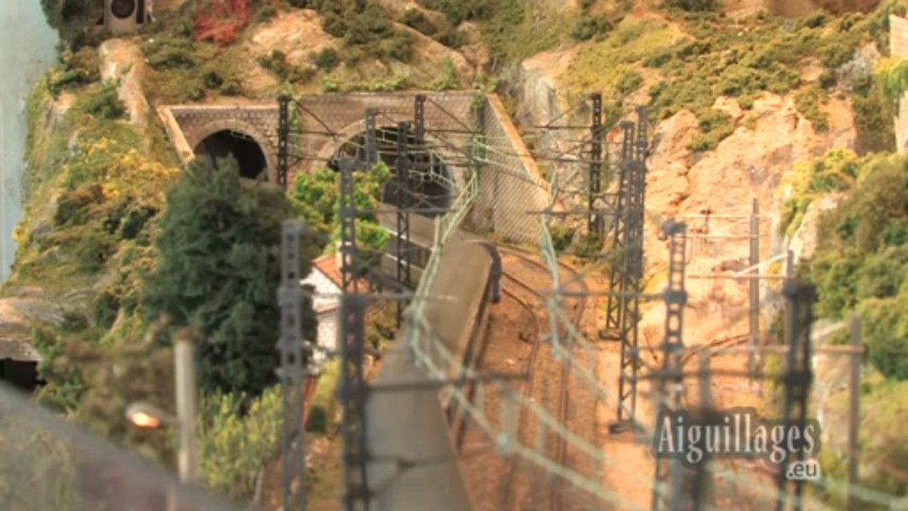 Le Réseau Ho du Chemin de Fer Privé de la Mulatière