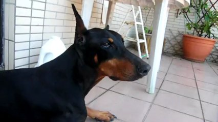 Maya face a la douche