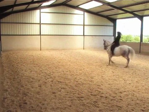 23.05.13 changements de pieds et piaffer