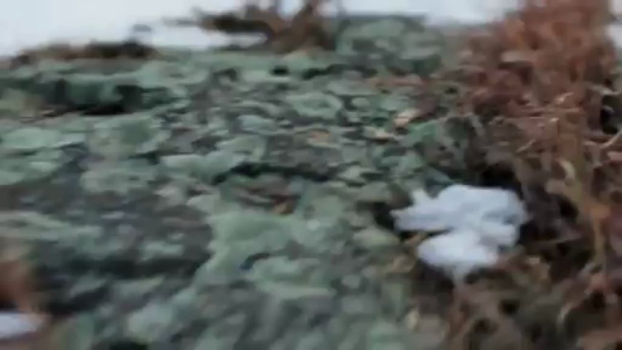 Phantogram - All Dried Up - YouTube