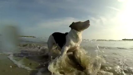 GoPro HD3 BE plage de Carnon avec Akira