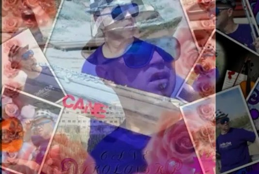 CANE NIKOLOVSKI - ZOŠTO SI ME MAJKO RODILA