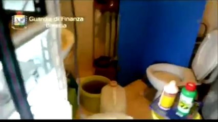 Brescia - Coltiva 100 piante canapa indiana, Gdf arresta universitario (24.05.13)