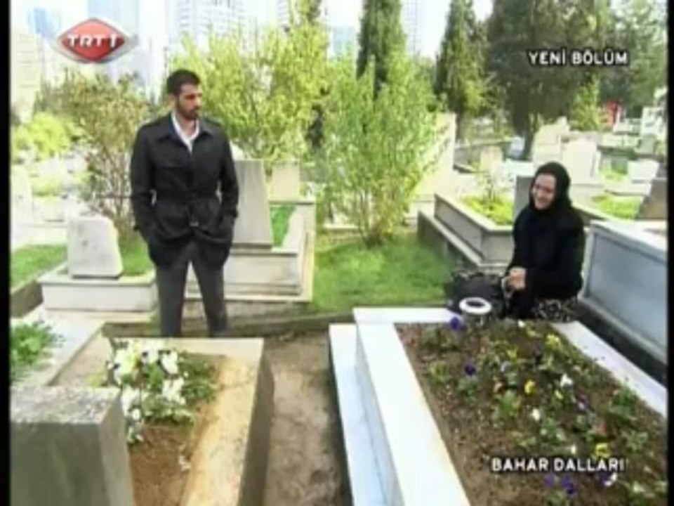 MAA_ Bahar Dalları