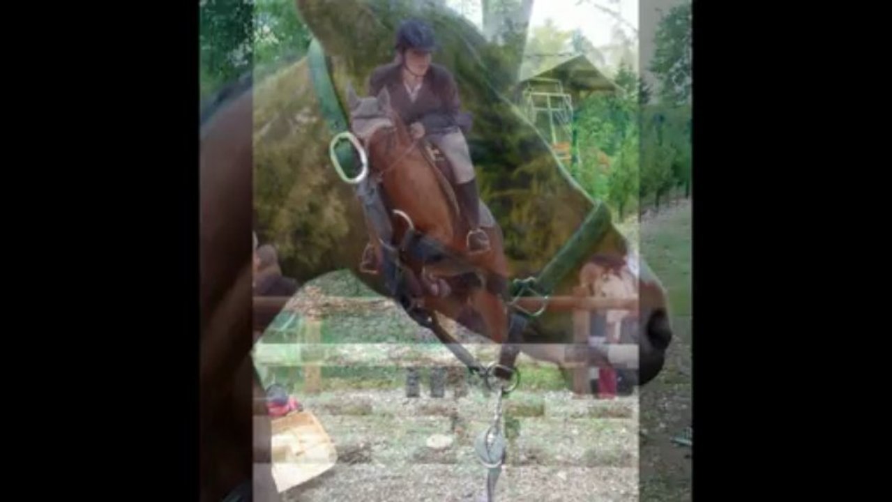 concours du dimanche 19 mai 2013 à chazey sur ain avec Pitchoune