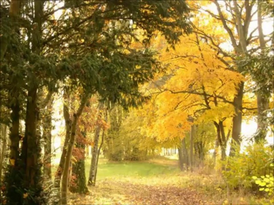 Chambres d'hôtes Gay friendly Franche comté 70