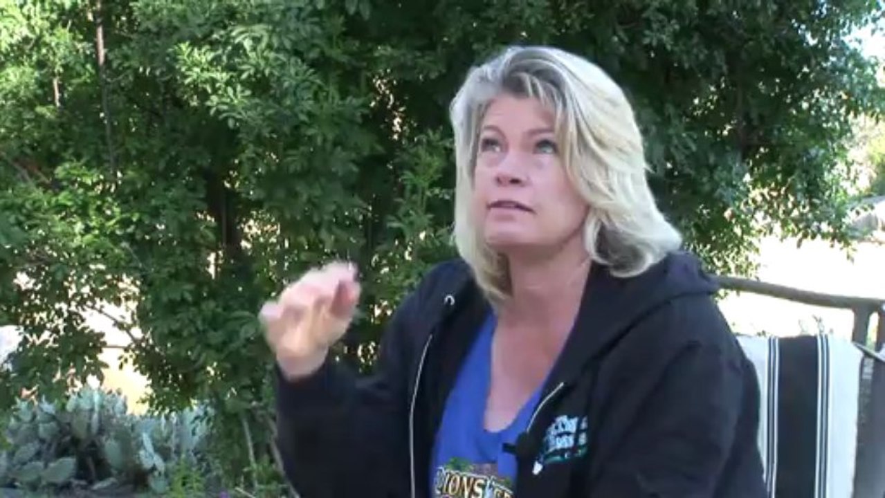 Lions Tigers & Bears - Sanctuary Spotlight