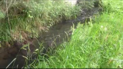 Hétéroclites drôles de périscopes