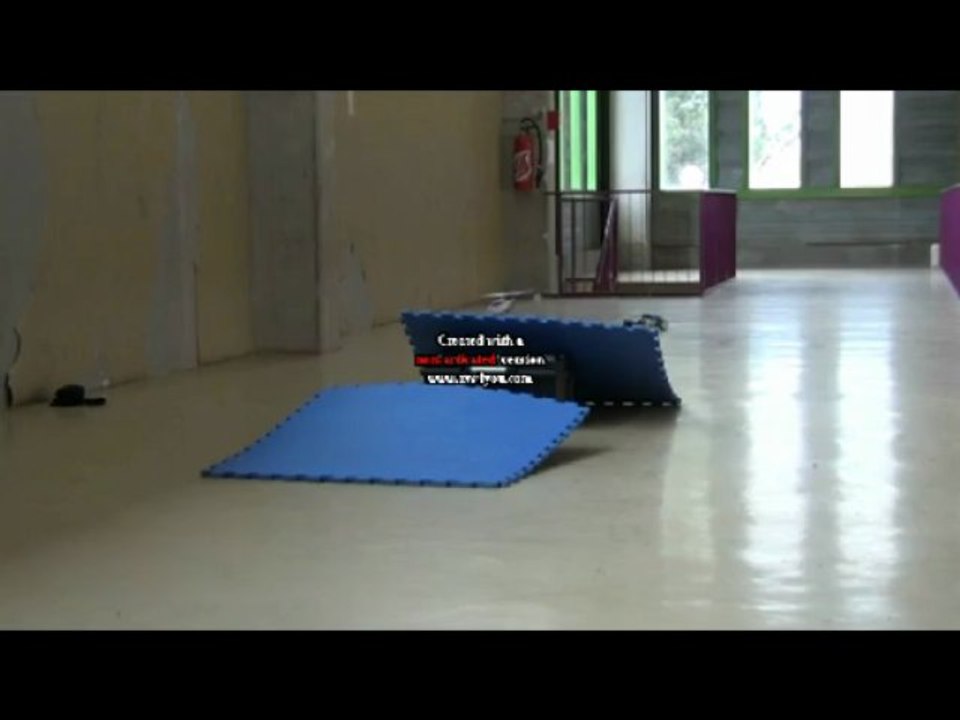 la voiture qui fait des siennes