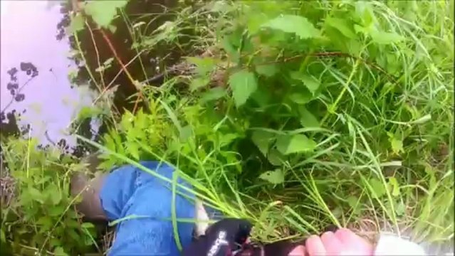 peche du brochet a Bass en Basset 2