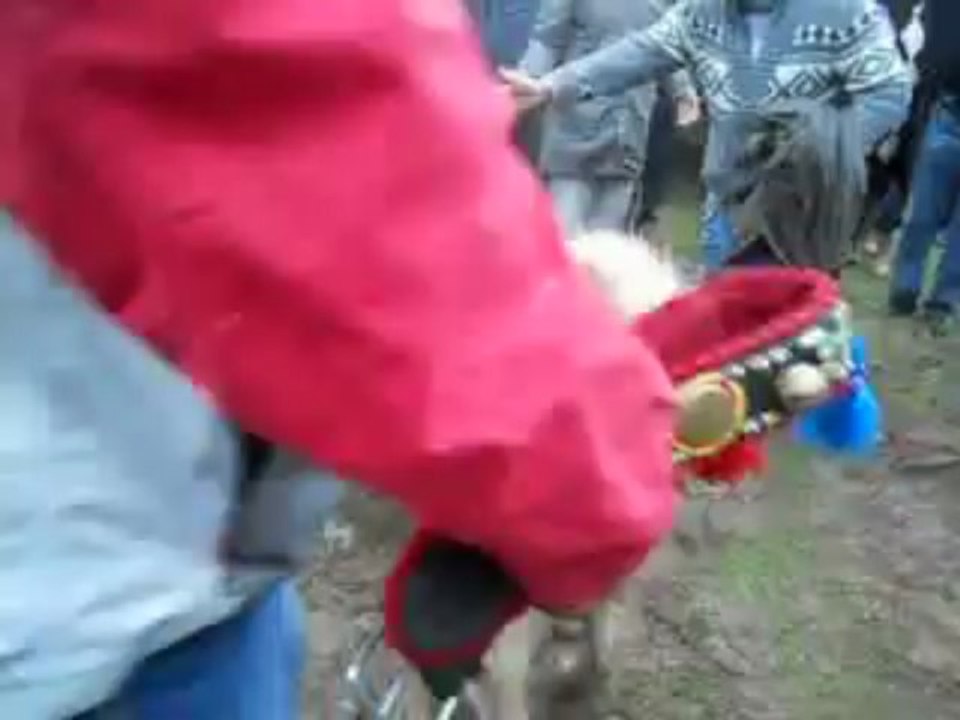 reis vs gudi
