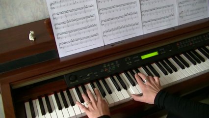 Tree of life - Yodelice