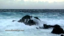 Stock Footage - Video Backgrounds - Stock Video - Coastal 0202