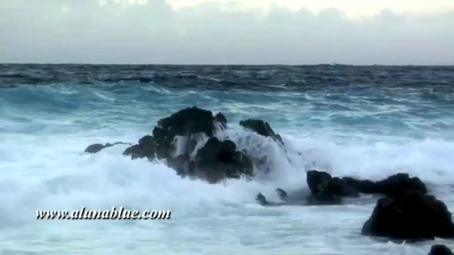 Stock Footage - Video Backgrounds - Stock Video - Coastal 0202