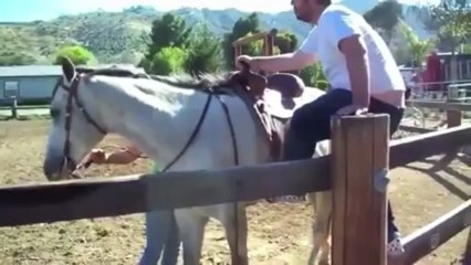 How Not To Mount A Horse - Video