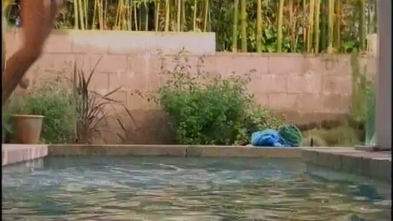 Лучшие экологические дома мира. 34из39. США, Чикаго. США, Санта Моника. США, Бостон.