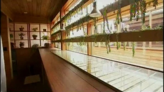 Лучшие экологические дома мира. 26из39. Канада, Торонто. США, штат Нью-Йорк.