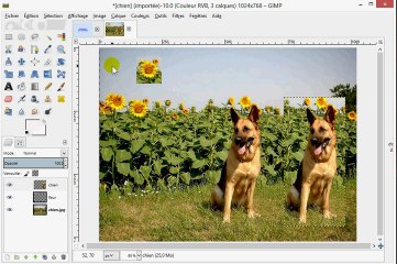 Utilisation des sélections