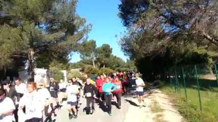 La Roquefavour 2013 7,5km