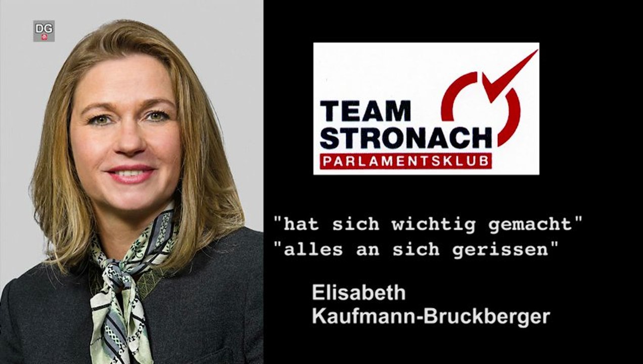 Die falschen Unterstützungserklärungen vom Team Stronach