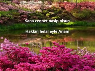 Anam Hakkin HELAL EYLE