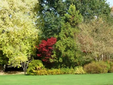 Les jardins de l'Abbaye d'Autrey