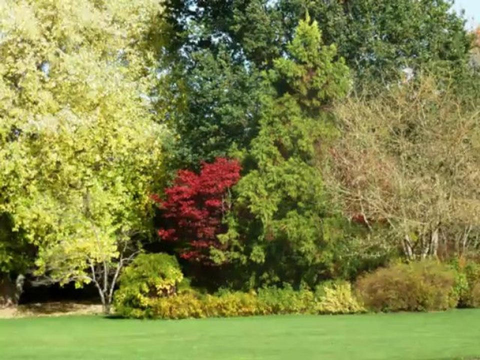 Les jardins de l'Abbaye d'Autrey