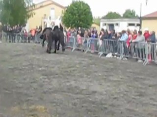 Fête du Cheval à Bonson