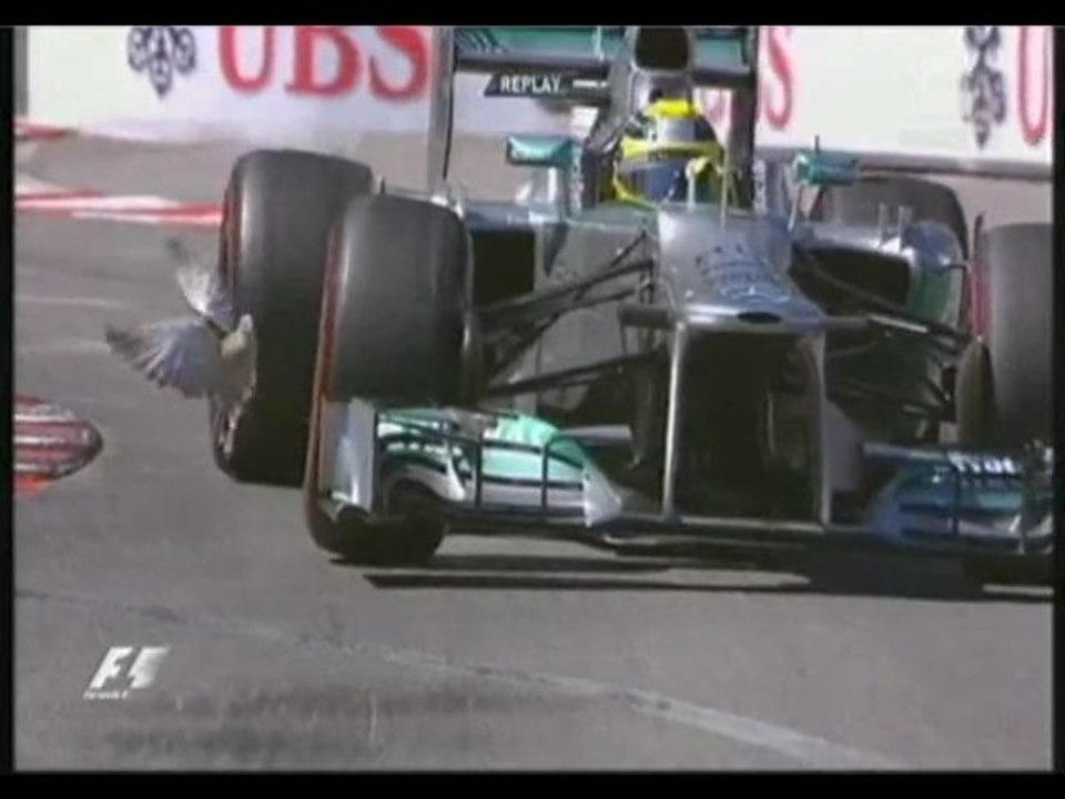 Monaco 2013 : pigeon sur la piste