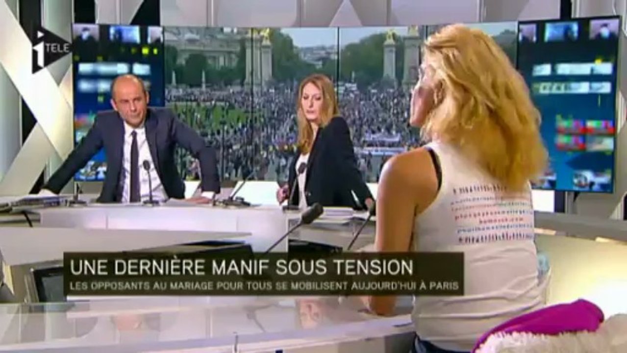 Frigide Barjot : "la Manif pour tous n'est pas un parti"