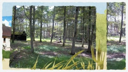 YOUIMMO PROPOSE PETIT PAVILLON SUR UN GRAND TERRAIN A SAINT LAURENT NOUAN  www.youimmo.fr