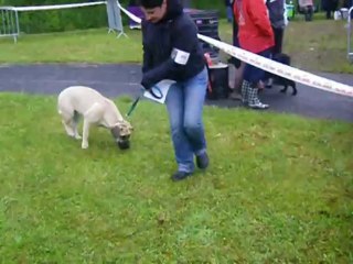 expos bar le duc 26/05/2013 haska el corazon del carador