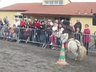 Fête du Cheval à Bonson