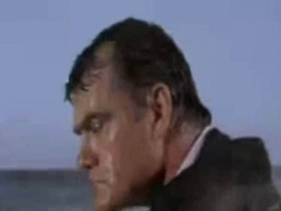shark attack 3