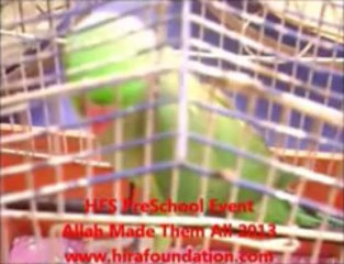 HFS Preschool Event Allah Made Them All 2013