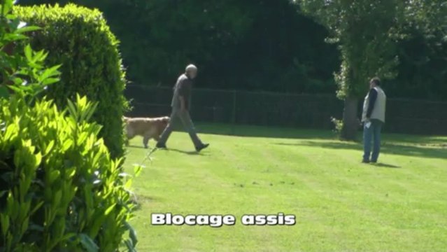 Concours d'obéissance ESCC Eclair classe 1