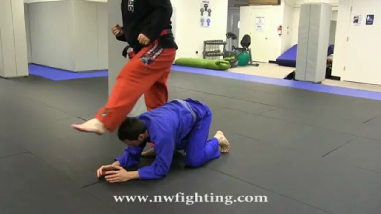 Brazilian Jiu-Jitsu Portland - Rigan Machado 2013 - Guard To Back Mount Or Sweep